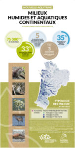 Nouvelle-Aquitaine : Une mosaïque de territoires - MILIEUX HUMIDES Nouvelle-Aquitaine : Une mosaïque de territoires - MILIEUX HUMIDES