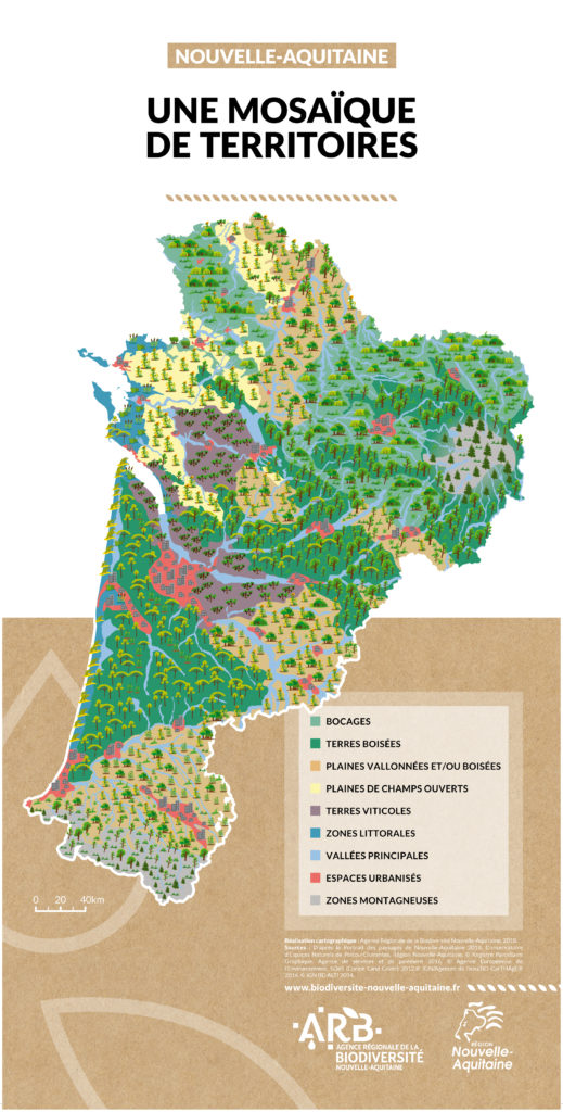 Nouvelle-Aquitaine : Une mosaïque de territoires Nouvelle-Aquitaine : Une mosaïque de territoires