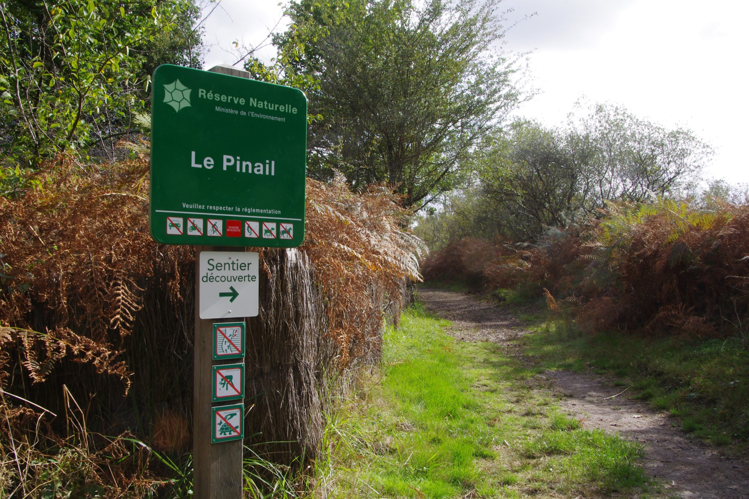 &copy; Kevin Lelarge - GEREPI