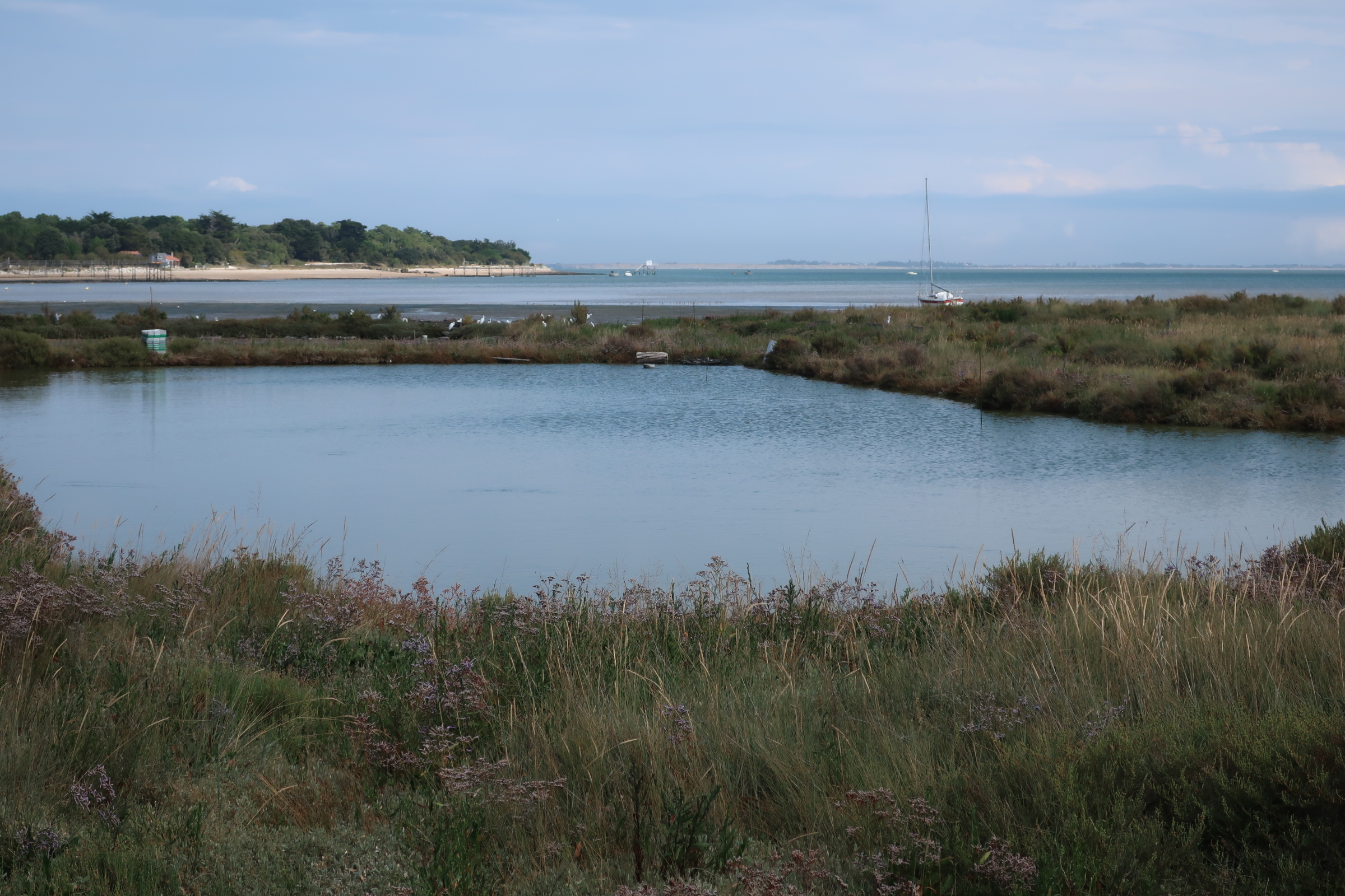 Baptiste REGNERY (ARB NA)