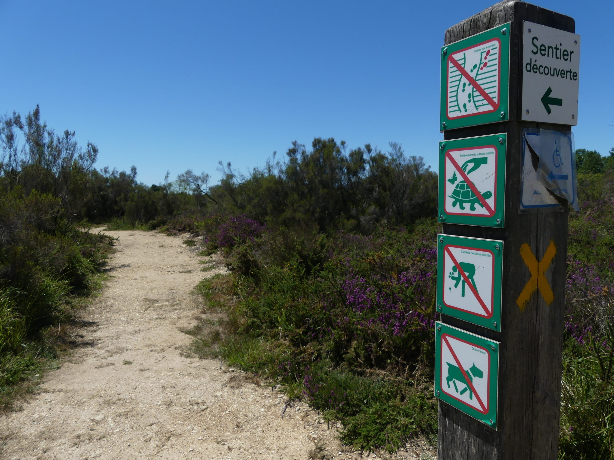 Maëlle SAM YIN YANG (ARB NA)