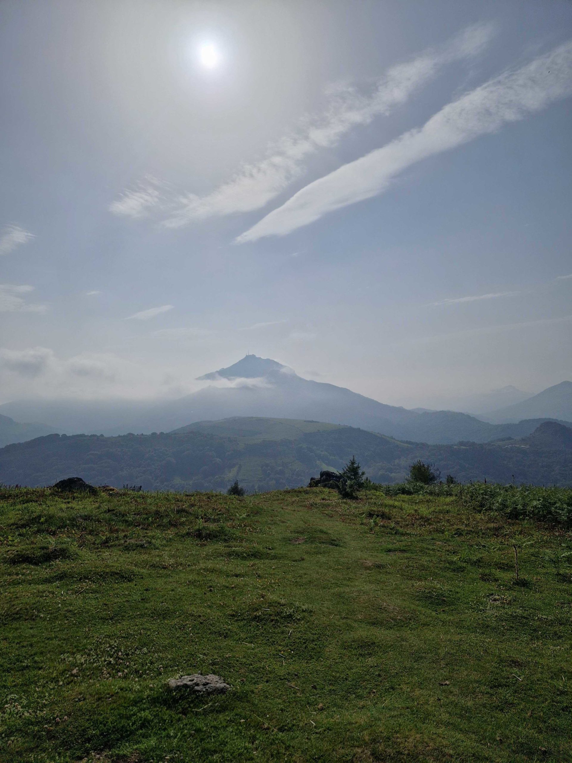 Espaces naturels à enjeux forts