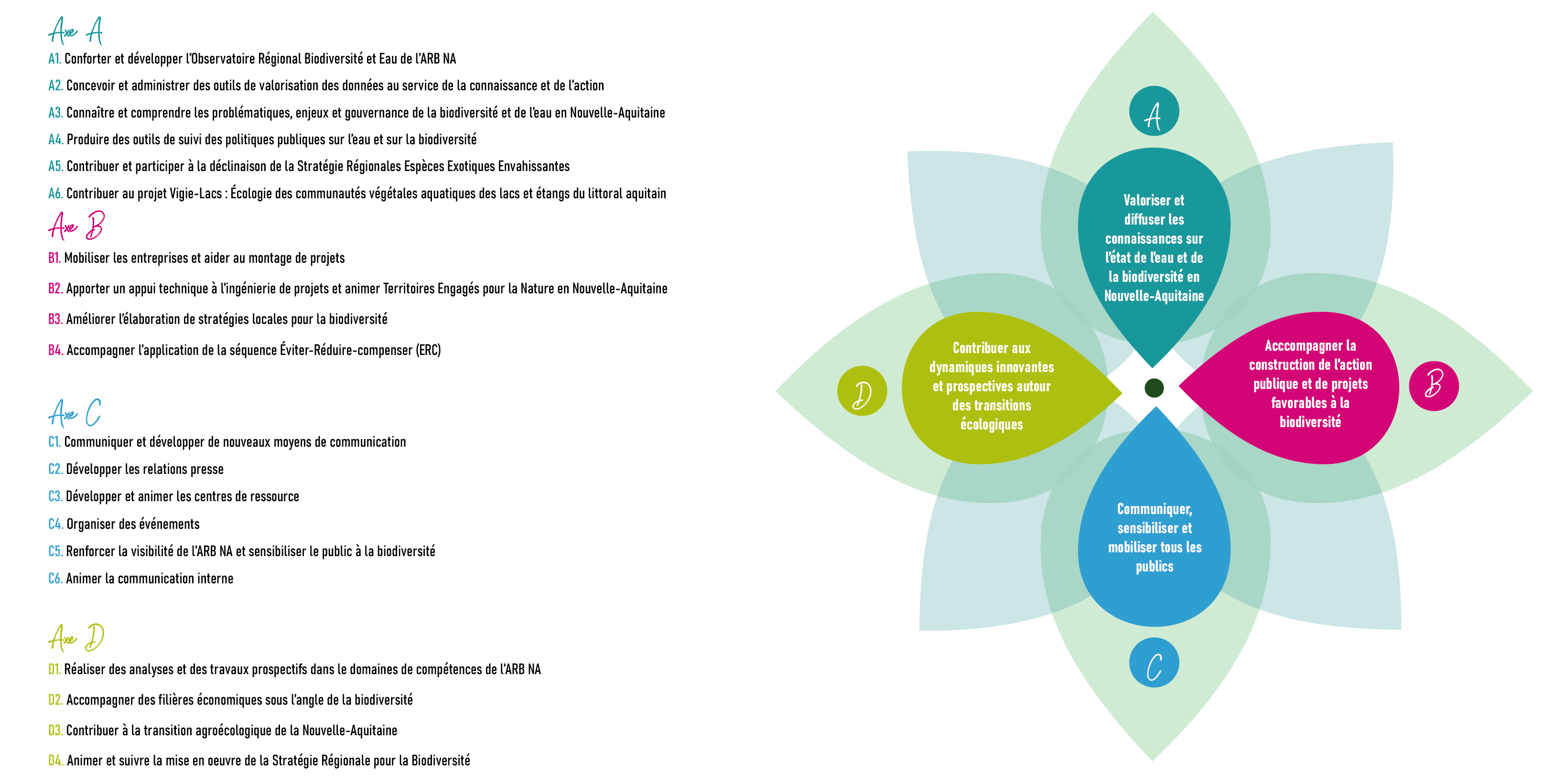Axe A : Valoriser et diffuser les connaissances sur l’état de l’eau et de la biodiversité Axe B : Accompagner la construction de l’action publique et des projets favorables à la biodiversité Axe C : Communiquer, sensibiliser et mobiliser tous les publics Axe D : Contribuer aux dynamiques innovantes et prospectives autour des transitions écologiques